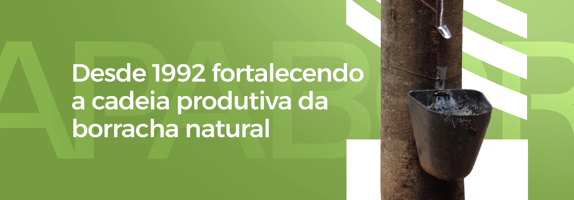 apabor-banner5 Apabor